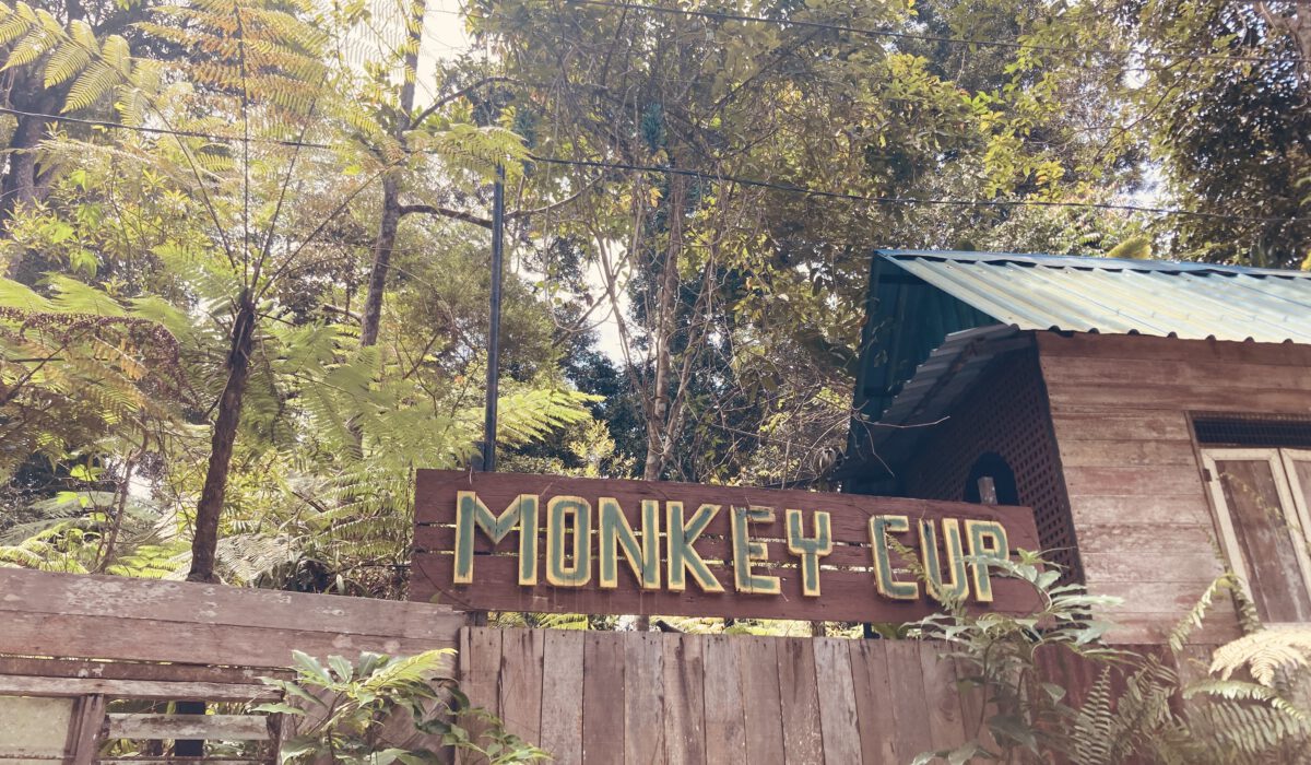 Monkey Cup