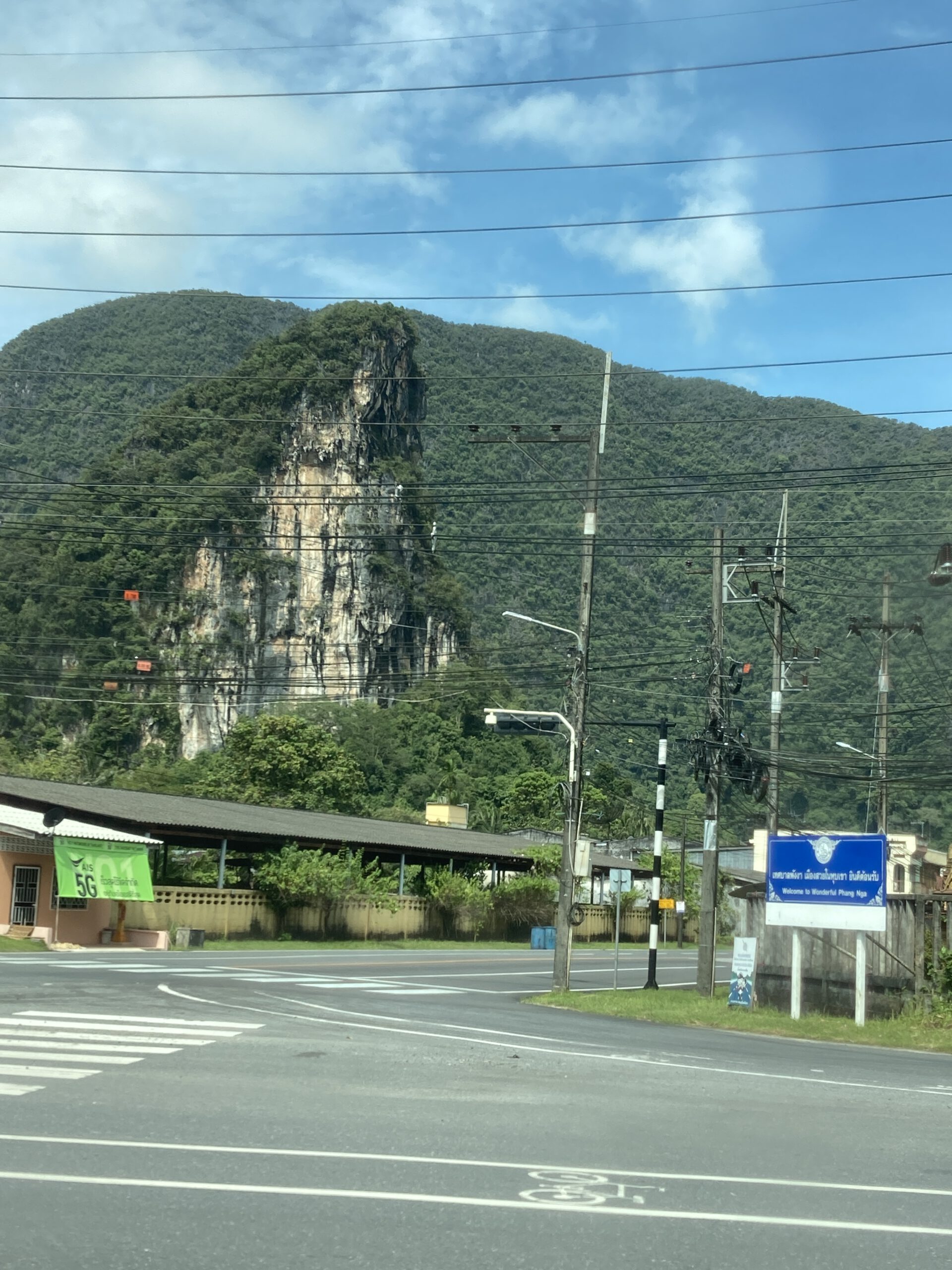 Blick aus dem Bus mit viel Grün