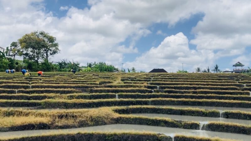 TanahLot1