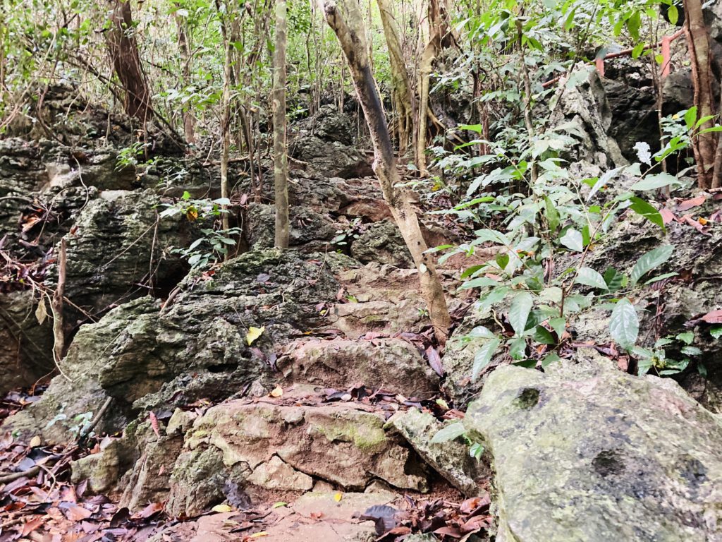 Treppe zum Berggipfel